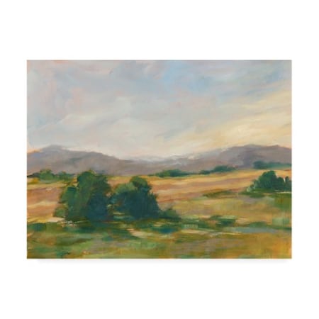 Ethan Harper 'Green Valley Ii' Canvas Art,24x32